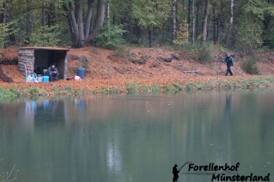 Lachsforellenangeln _8