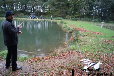 Lachsforellenangeln _9