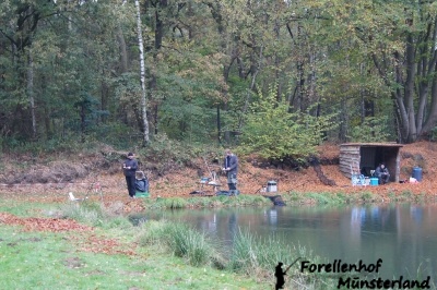 Lachsforellenangeln _10