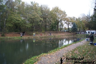 Lachsforellenangeln_1