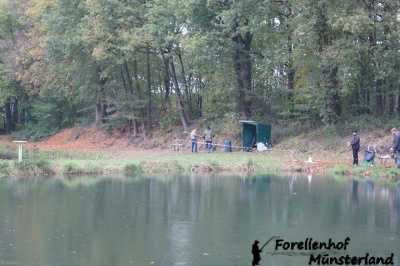 Lachsforellenangeln_5