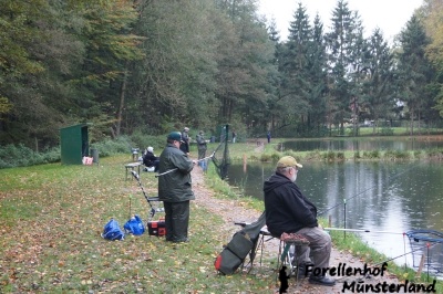 Lachsforellenangeln_8