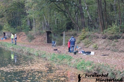 Lachsforellenangeln_1