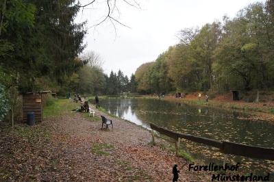 Lachsforellenangeln_2