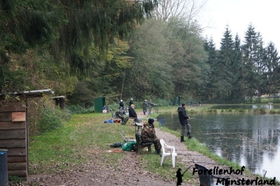 Lachsforellenangeln_3