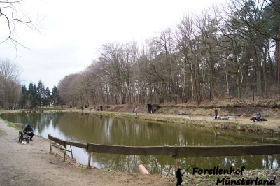 Lachsforellenangeln April 13_1