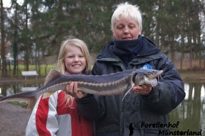 Lachsforellenangeln April 13_3