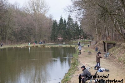 Lachsforellenangeln April 13_11