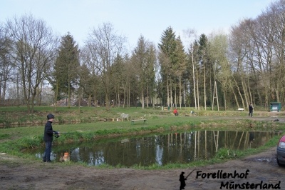 Kinderteich (Teich 4.)