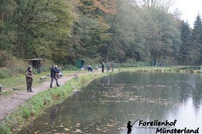 Lachsforellenangeln _1