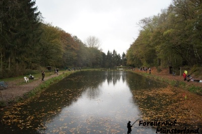 Lachsforellenangeln _6