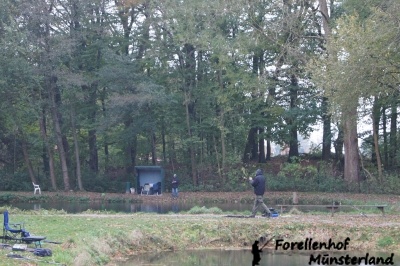 Lachsforellenangeln _8