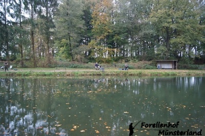 Lachsforellenangeln _4