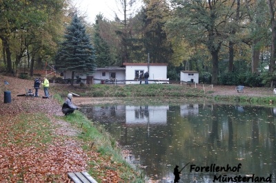 Lachsforellenangeln _6